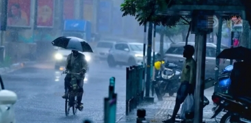 rain