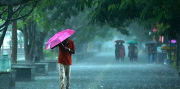 rain