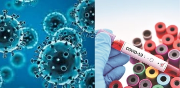 India Sees Rise in COVID Cases