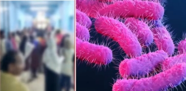 Kozhikode Shigella Update