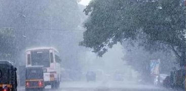Kerala Rain 