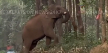 Ezhattumukham Ganapathi 