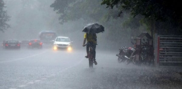 Rain