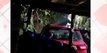 Wild Elephant 'Padayappa' Damages Car in Munnar, Kerala