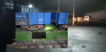 TRAIN