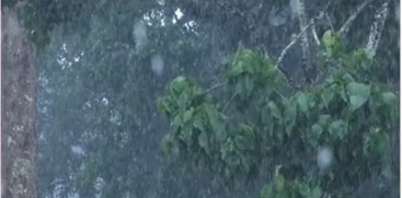 Heavy Rainfall in Kerala