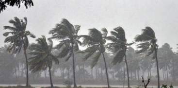 Rain