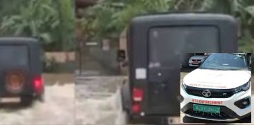 MVD