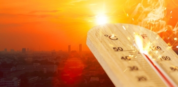 High Temperature Warning in 12 Districts