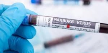Marburg Virus Outbreak Confirmed in Ethiopia