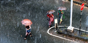 rain