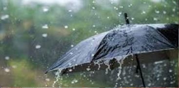 rain alert