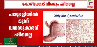 shigella
