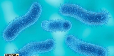 Shigella Case Confirmed in 4-Year-Old Child in Kottayam