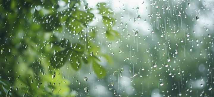 Heavy rain likely in the state today; Yellow alert in six districts