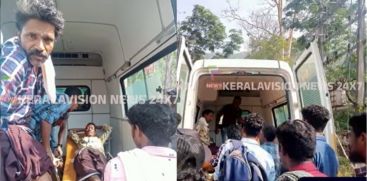 Elephant Attack at Malakkappara