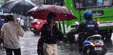 rain