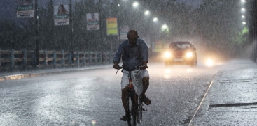 rain