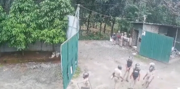 Thamarassery Fresh Cut Plant Protest