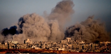 Gaza Towards Peace