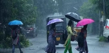 rain