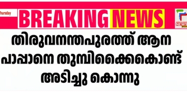 Elephant Kills Mahout with Trunk