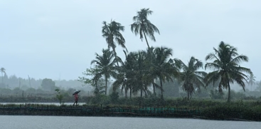Kerala Weather Update