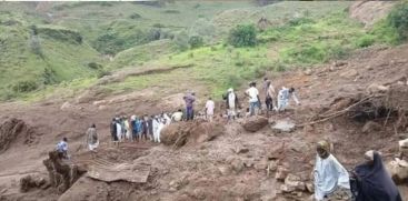 LANDSLIDE
