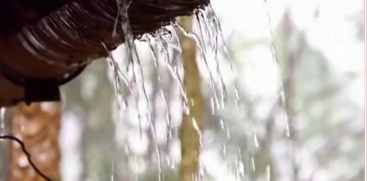 Orange Alert Issued for 7 Districts as Heavy Rains Continue Today