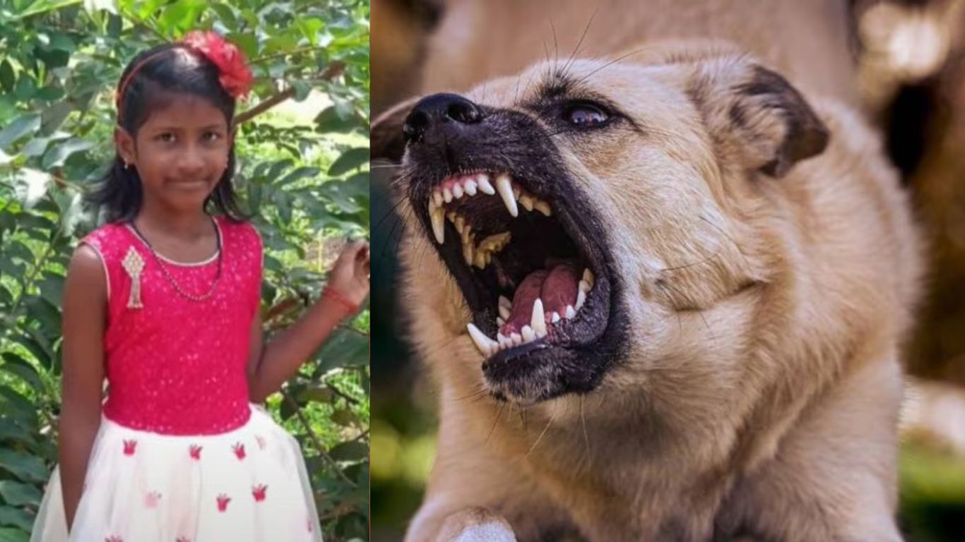 another-rabies-death-7-year-old-girl-undergoing-treatment-at-sat-dies