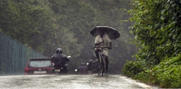 rain