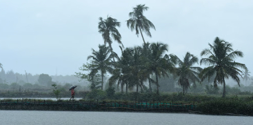 rain