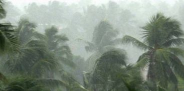 RAIN ALERT