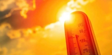 Kerala Heatwave: Yellow Alert in 12 Districts
