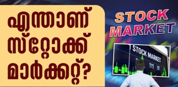 what is stock market
