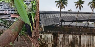 odakkali