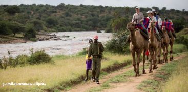 Camel Died; No more camel rides at Ramakkalmedu