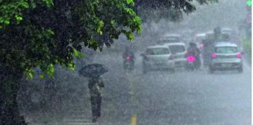 rain alert