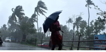 Rain