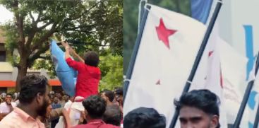 sfi
