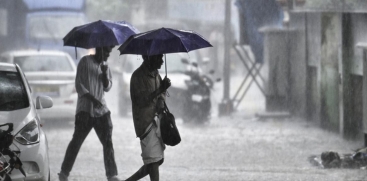 rain