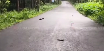 Athirappilly Wild Elephant Attack