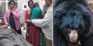 Bear Attack in Valpara