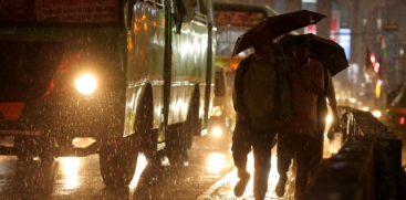 Rain 