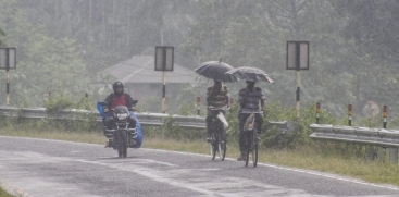 rain