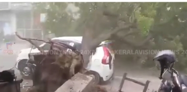Natural Calamity in UP: 56 Dead as Heavy Rain and Storm Lash Uttar Pradesh