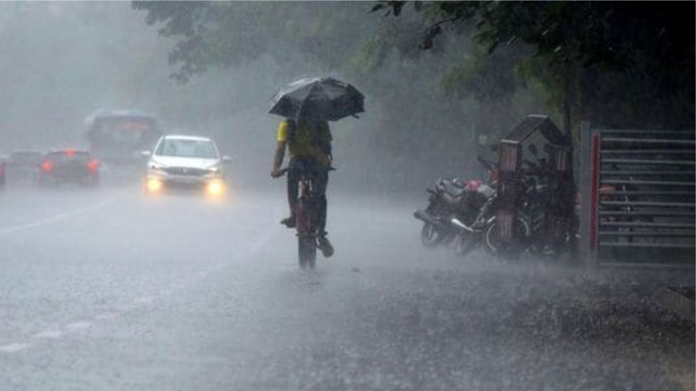Rain image 
